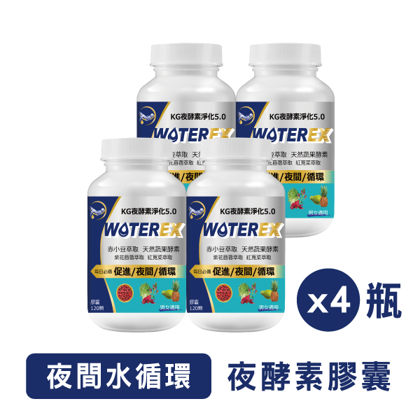 【38女王節限定】夜酵素淨化4瓶組